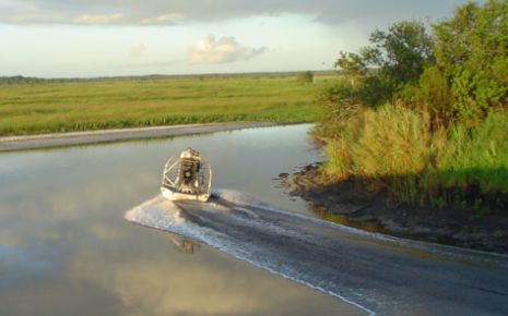 Image of Wild Bill’s Airboat Tours